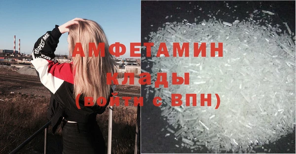 молекула духа Белокуриха
