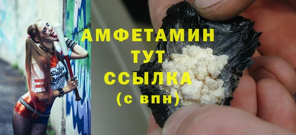 прущие грибы Балахна