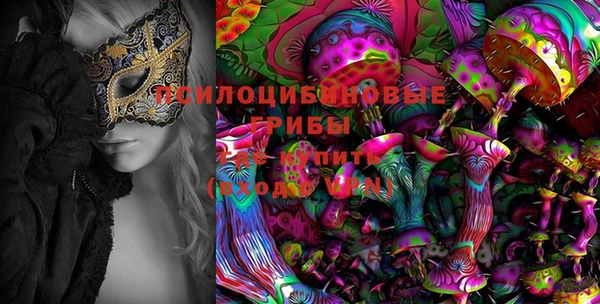 молекула духа Баксан